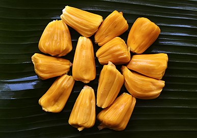 Ulas-ulas nangka yang masak