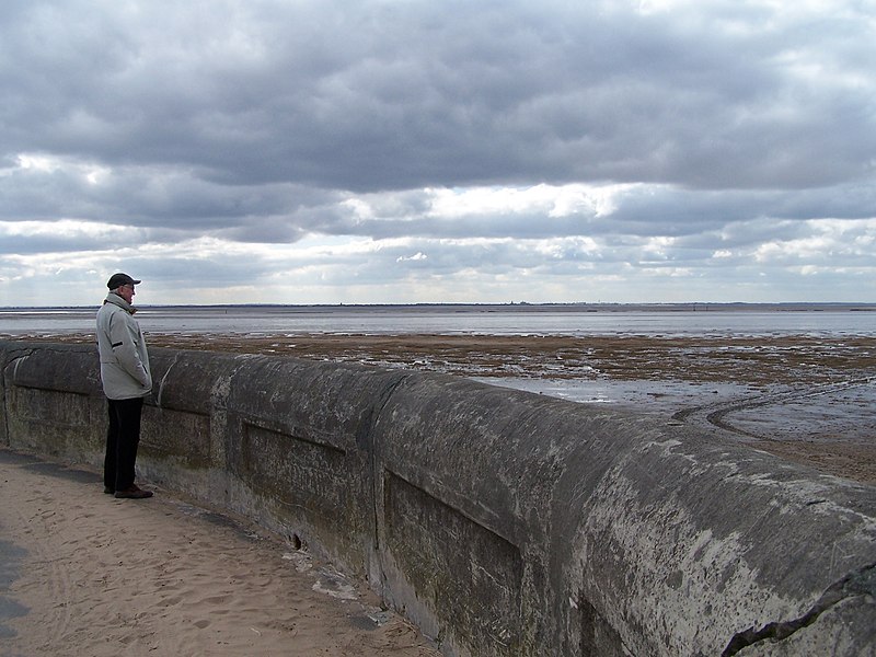 File:Admiring the View, near Fairhaven Lake, Lytham St Annes - geograph.org.uk - 3411972.jpg