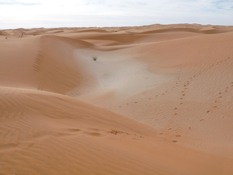 File:Adrar sands.JPG