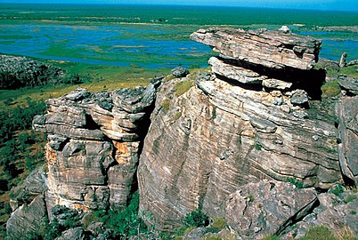 Tarren a'r gwlyptiroedd ar ei throed ym Mharc Cenedlaethol Kakadu yn Nhiriogaeth y Gogledd, Awstralia