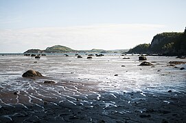 Parc du Bic à marée basse (septembre 2015)