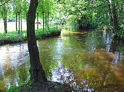 Swalm brook near Swalmen