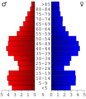 Bevolkingspiramide Mills County