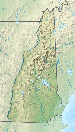 Branch River (New Hampshire) is located in New Hampshire