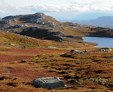 Vegglifjell, det høgste fjellområdet i kommunen.