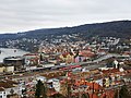 Blick auf Waldshut mit Bahnhof