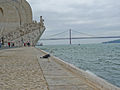 Gaviota sombría junto al Monumento a los Descubrimientos (Lisboa)