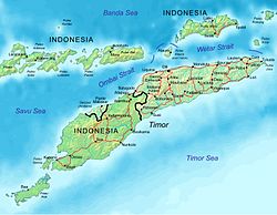 Topografiese kaart van Timor