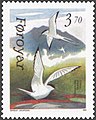 FR 215: Terna - Arctic tern (Sterna paradisaea).