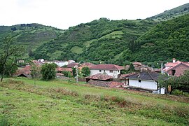 Tuña tineo asturias03.JPG