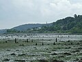 The old timber ponds near the village