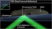 Vorschaubild für Interne Totalreflexionsfluoreszenzmikroskopie