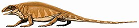 Варанопс (Varanops brevirostris)