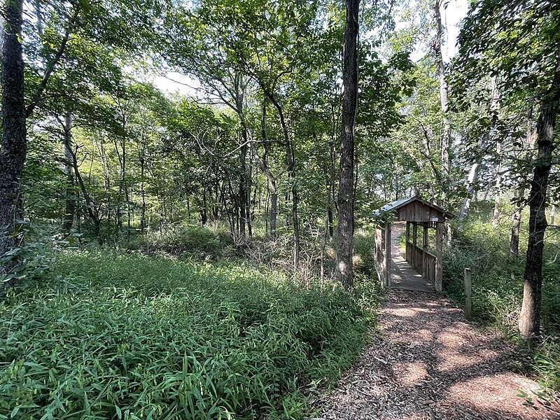 File:Walking path and bridge, Bremer Wildlife Sanctuary, Hillsboro, Illinois.jpg