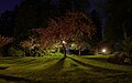 Panorama iz štirih fotografij Washington Park, 30 sekund