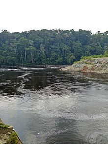 Fleuve Ntem, région du sud Cameroun (forêt tropicale).jpg