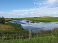 Cowpen Marsh at Seal Sands