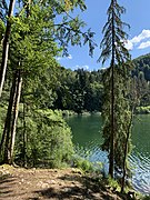 Lac-de-Bonlieu-Jura1-byRundvald.jpg