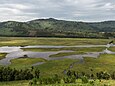 Ein mit Sumpfvegetation und Wasserflächen bedecktes Tal. Auf den Hügeln auf der anderen Seite stehen einzelne Häuser und an den Hängen liegen kleine Landwirtschaftsflächen.