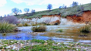 Río Jarama.jpg