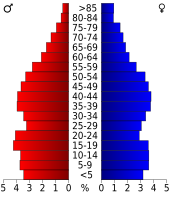 Bevolkingspiramide Steuben County