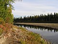 Pădure în Munții Ural, Rusia