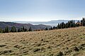 * Nomination View of the Tatra Mountains from Wolnica Glade on Turbacz in the Gorce Mountains --Jakubhal 04:41, 28 October 2024 (UTC) * Promotion  Support Good quality.--Tournasol7 05:16, 28 October 2024 (UTC)