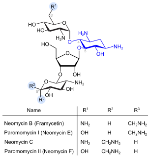 Neomycine (blau: Desoxystreptaminstruktur)