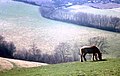 Paysage de l'Autunois