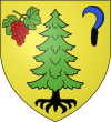 Blason de Steinbach