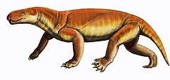 Reconstitution de Gorgonops whaitsi.