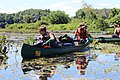 Pulling water chestnut, Log Pond Cove, Massachusetts