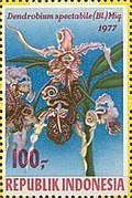 Stamp of Indonesia - 1977 - Colnect 258388 - Orchids.jpeg