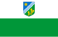 Drapeau du Comté de Tartu