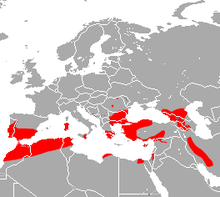 Mehely's Horseshoe Bat area