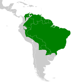 Distribución geográfica del mosquero parduzco.