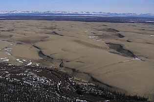 Kobuk Hondar Dunak.