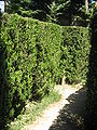 Inside the labyrinth of villa Pisani, Stra, Venice - 4