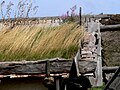 Grassy roof with wooden gutter