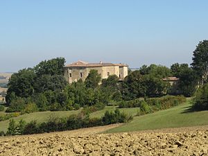 Lo castèth de Serilhac.