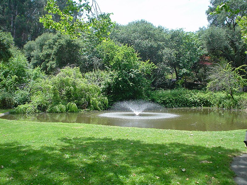 File:Pond (Mills College).jpg