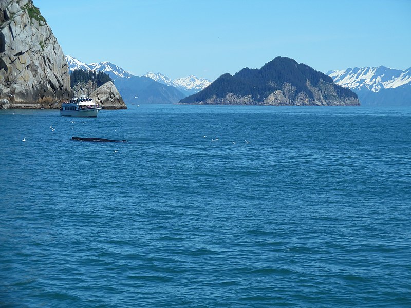 File:Alaska 2016 (353).jpg