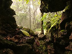 Cherrapunji, one of the most popular tourist attractions in Northeast India, is located in Meghalaya and holds the world record for most rain in a calendar month