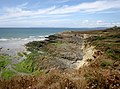 Plomodiern : falaises entre l'anse de Ty Mark et la pointe de Talagrip (détail 1).