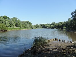 De Oder te zien in Głogów, Polen