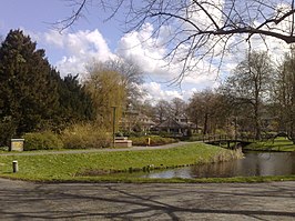 Park Rijnstroom met Parkvilla en brug