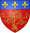 Blason de Ginestas