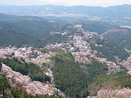 Sakura na górze Yoshino