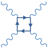 Feynman diagram of photon–photon scattering