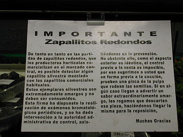 Cartel llamando "zapallito silvestre" al zapallito de sabor amargo. Rosario, Santa Fe, 2007. Foto de F. López Anido.